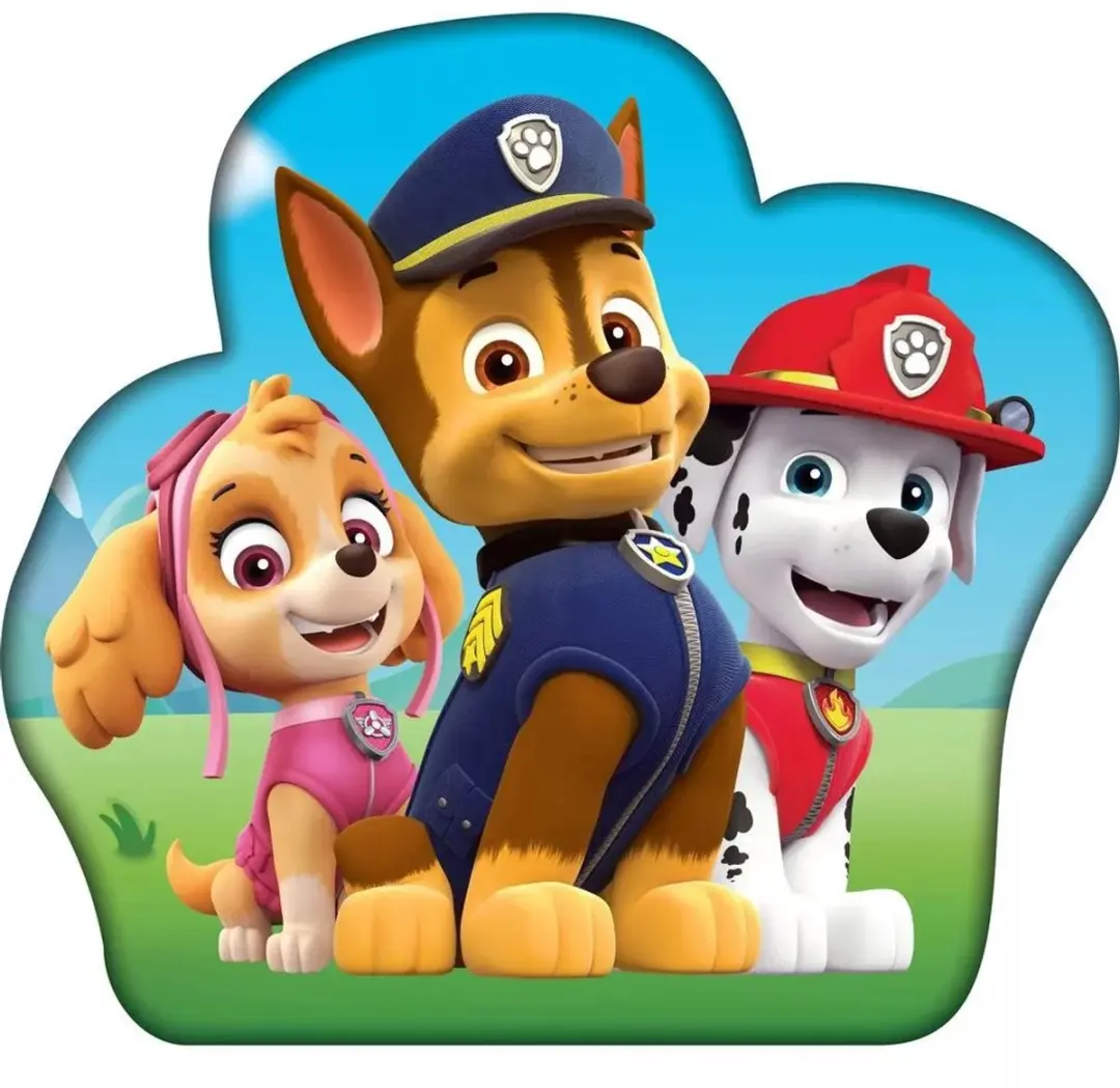 Paw Patrol sierkussen Troop 36 x 36 cm