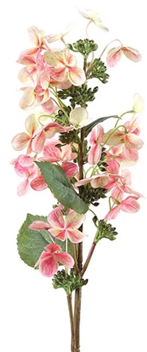Countryfield Hydrangea Janea Roze