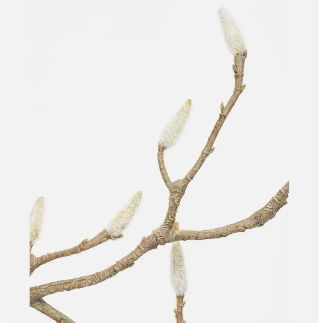 House Doctor Kunsttak Magnolia