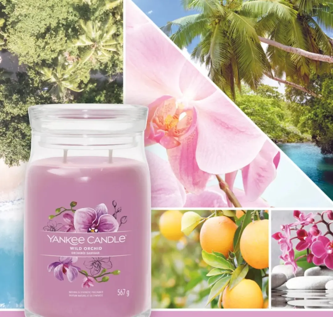 Yankee Candle Wild Orchid Geurkaars - Paars - 80 Branduren - afbeelding 3 van 3