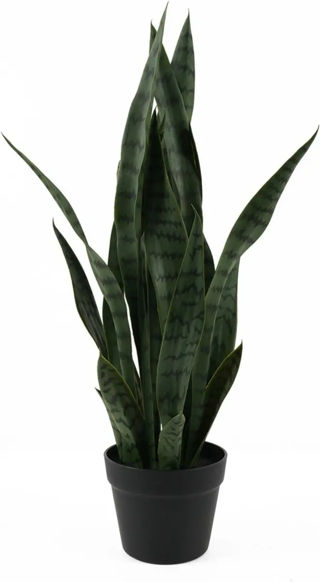 Present Time Kunstplant Sansevieria