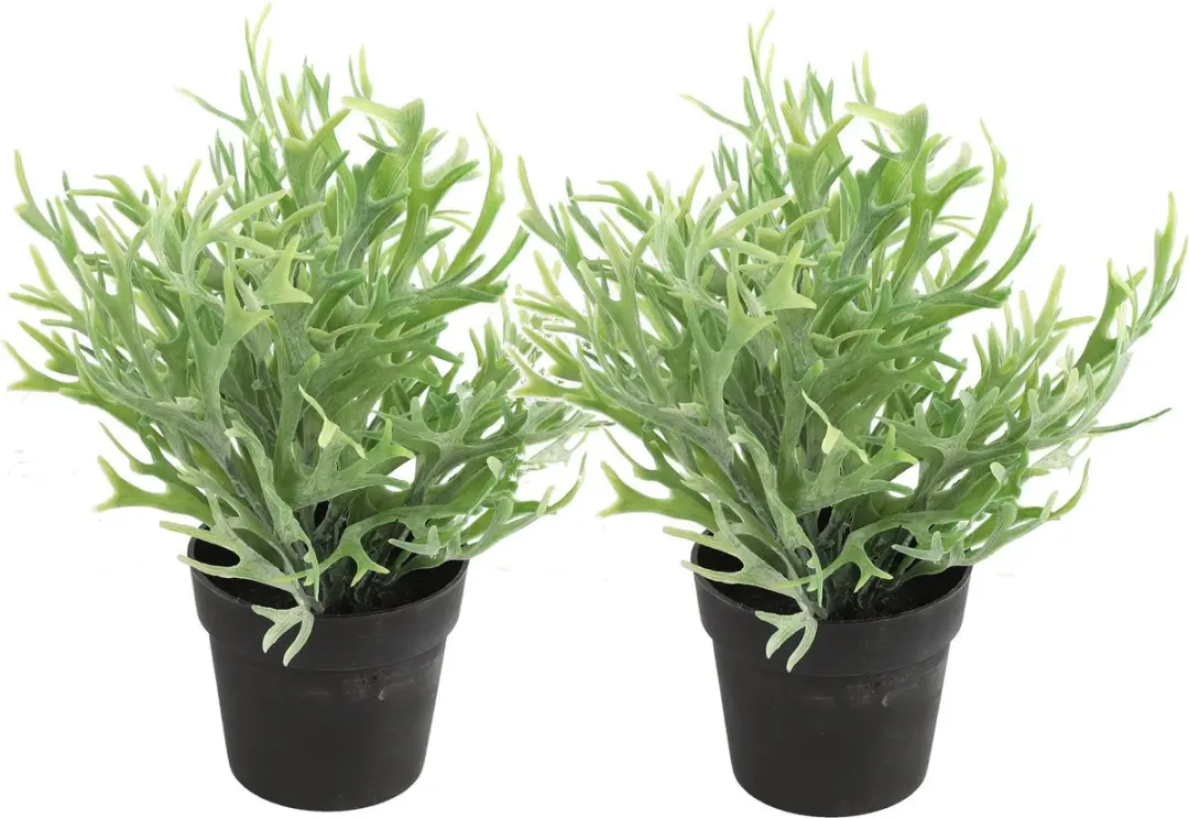 Countryfield Kunstplant Platycerium plant in bloempot
