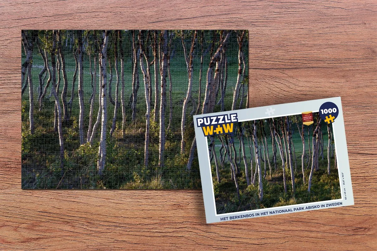 PuzzleWow Het berkenbos Abisko Legpuzzel 1000 Stuks - Multicolor