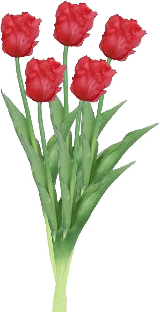 Countryfield Kunstbloem tulp Parkiet