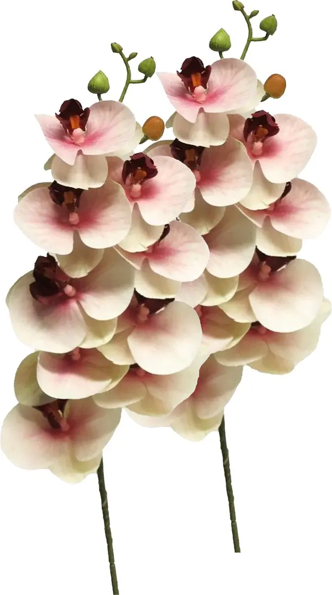 Bellatio Design Kunstbloem Orchidee Bora - 3x - roze - 77 cm - losse steel - kunst zijdebloem