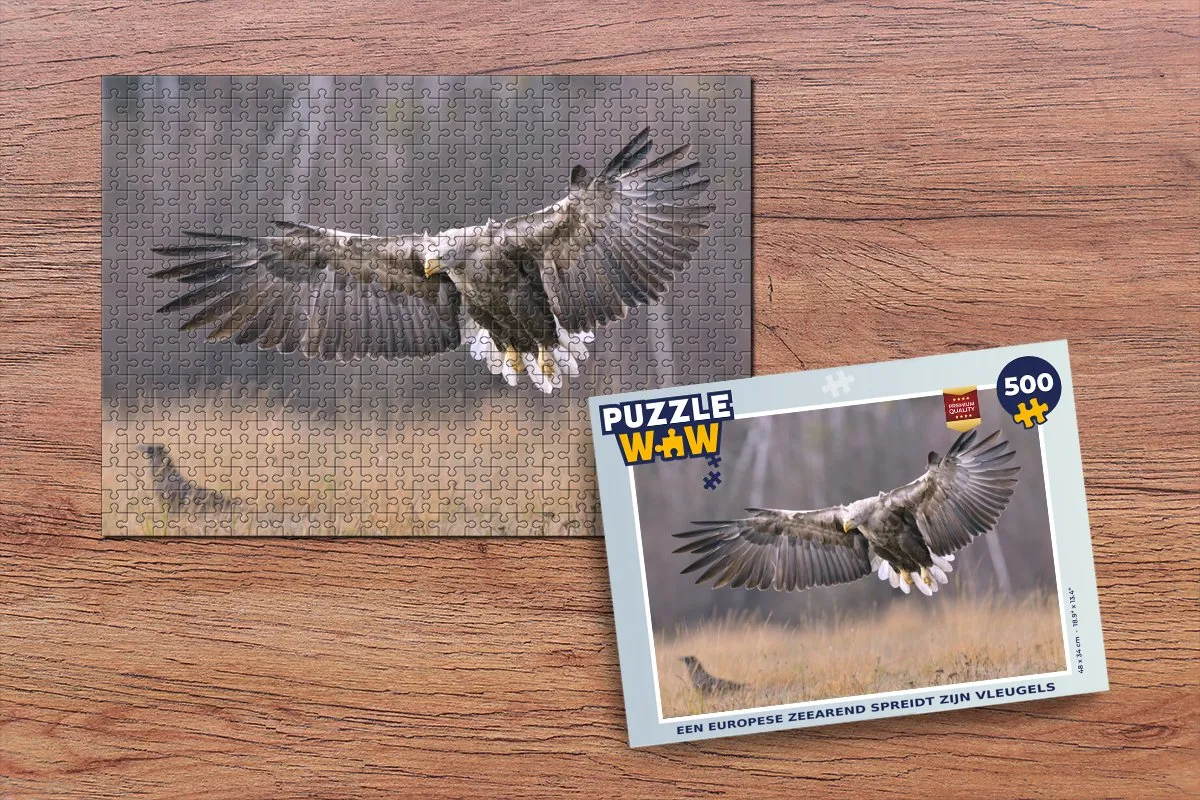 PuzzleWow Legpuzzel Europese Zeearend 500 Stuks - Multicolor