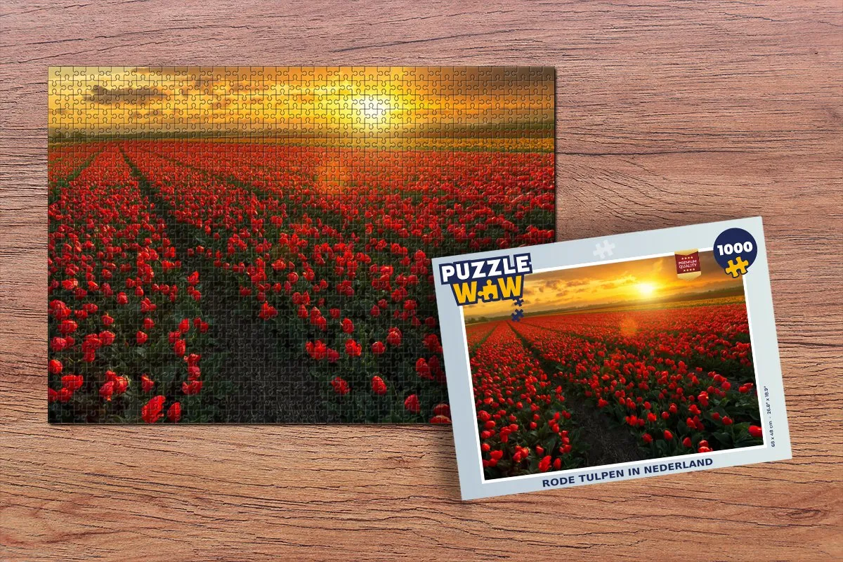 PuzzleWow Legpuzzel Rode tulpen in Nederland 1000 Stuks - Multicolor