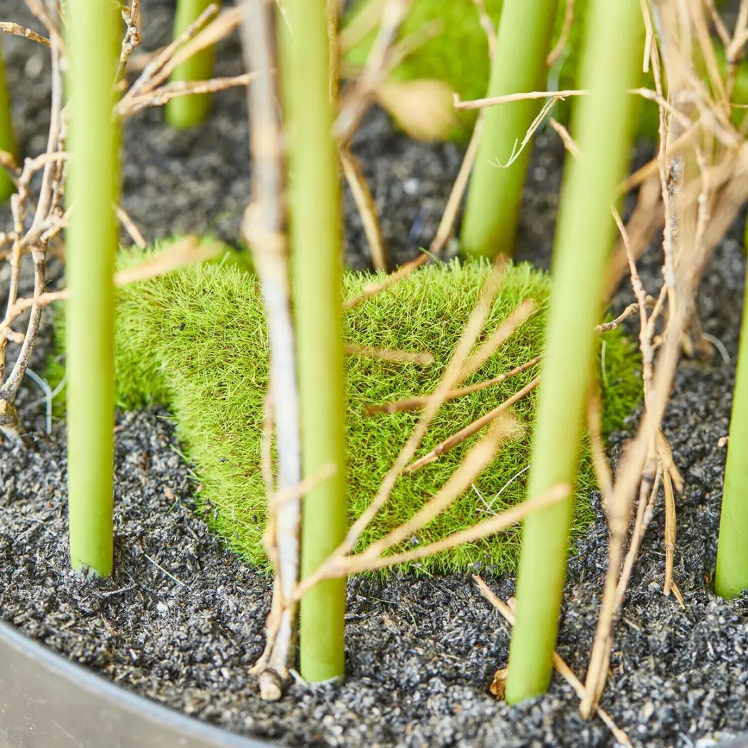 Loberon Clarisa Decoratieve Rietplant - Groen/Wit - afbeelding 2 van 4