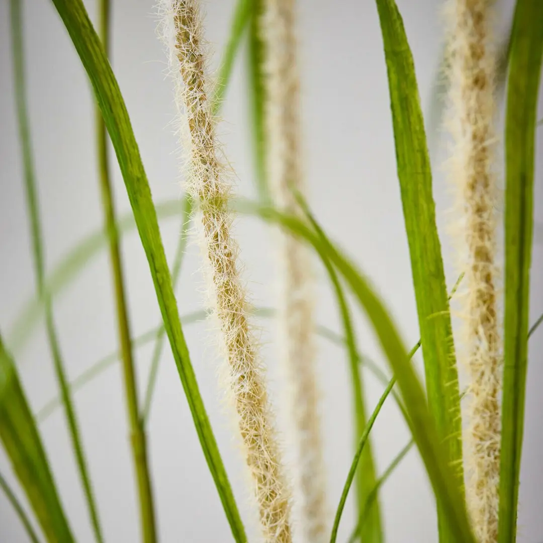 Loberon Clarisa Decoratieve Rietplant - Groen/Wit - afbeelding 4 van 4