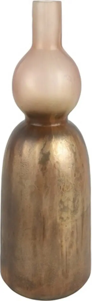 Fles ro Deminique L d.bruin