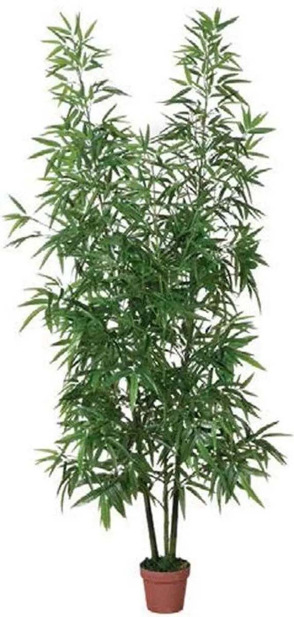 Intergard Kunstplanten bamboe 200cm