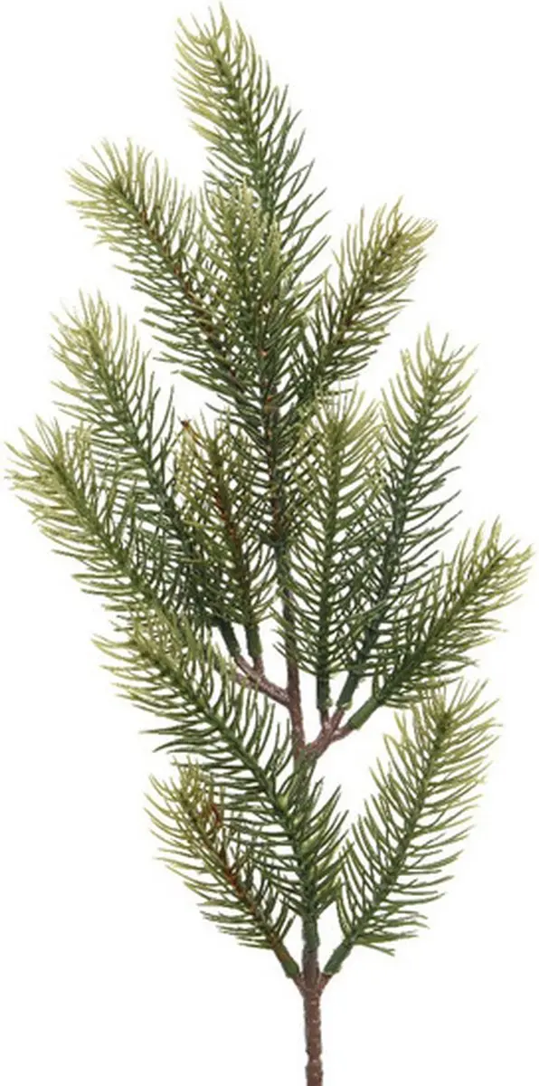 Kersttak/dennentak