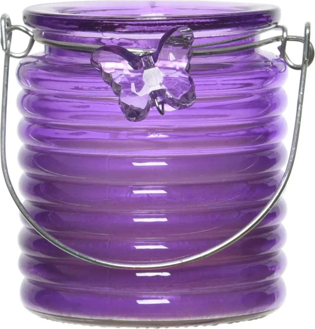 Citronella windlicht met kaars