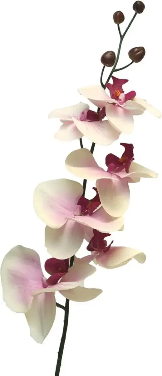 Bellatio Design Kunstbloem Orchidee Milan