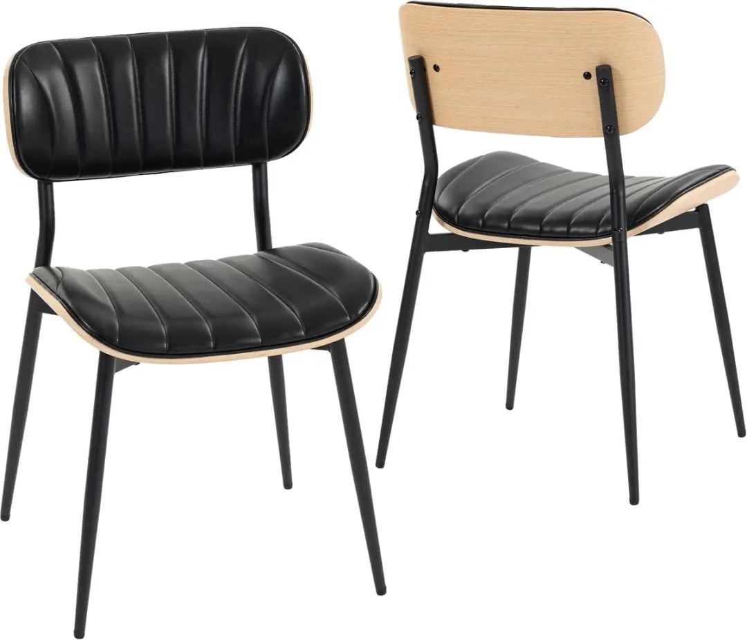 ECTEATOY® Eetkamerstoelen Set van 2