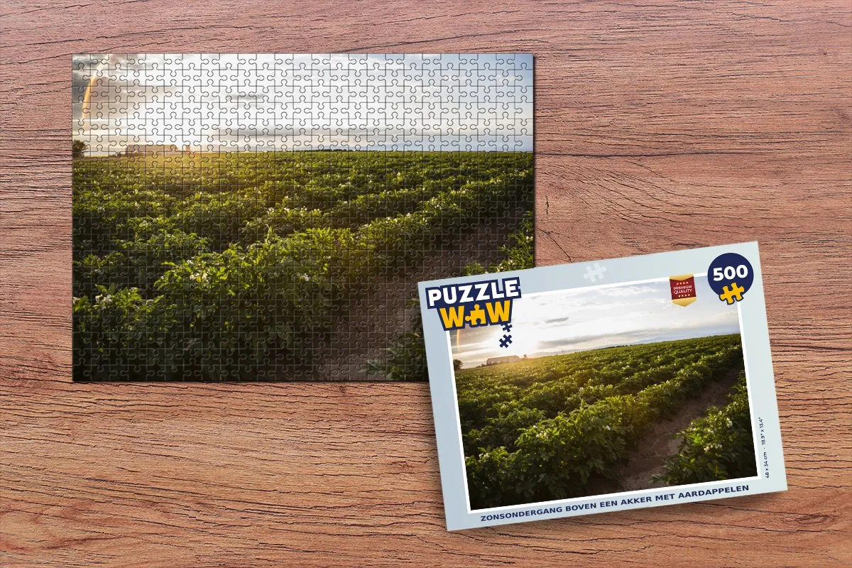PuzzleWow Legpuzzel 500 Stuks - Multicolor
