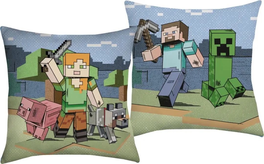 Minecraft Kussen, Overworld