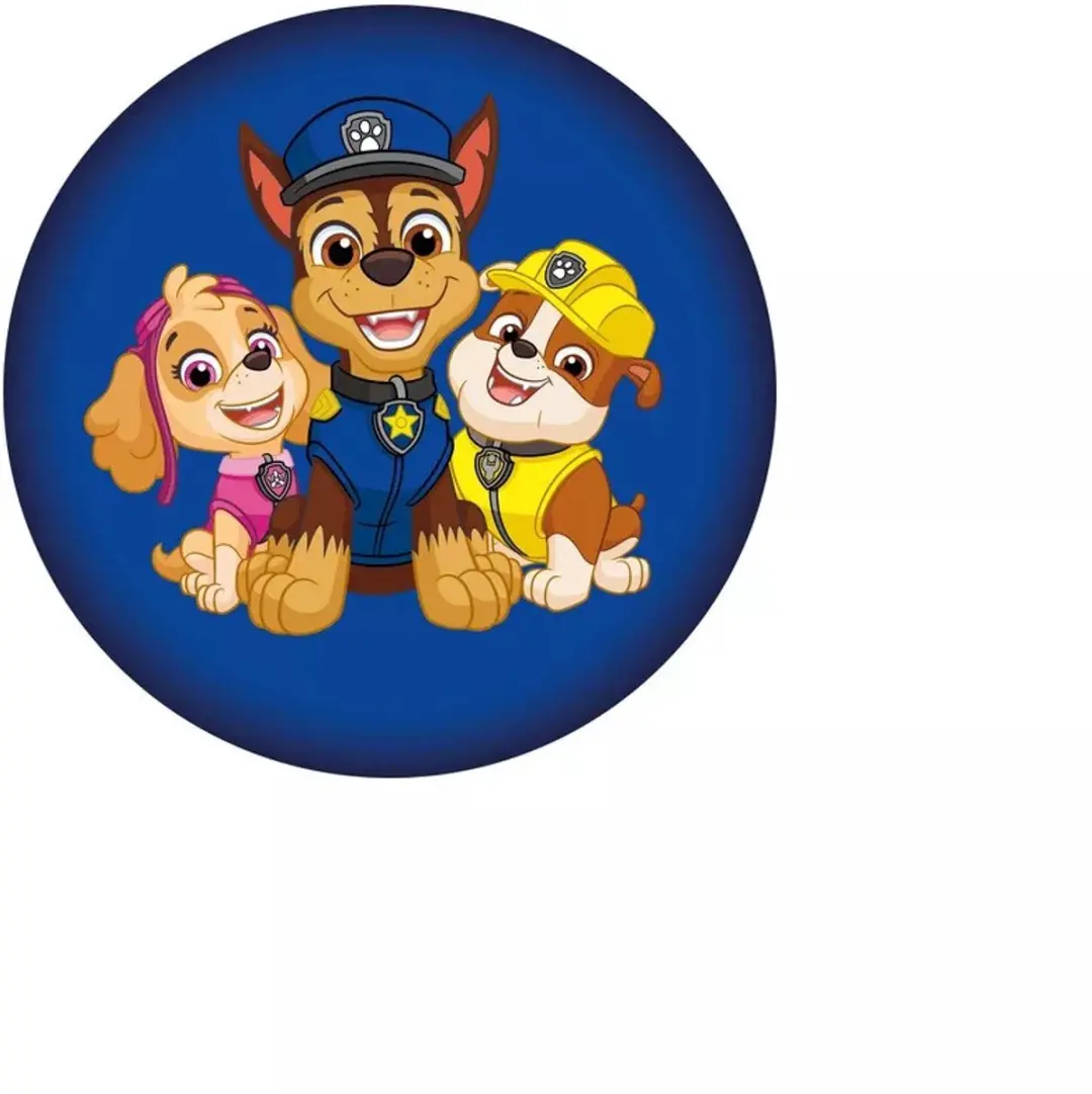Paw Patrol sierkussen Squad 37 x 37 cm