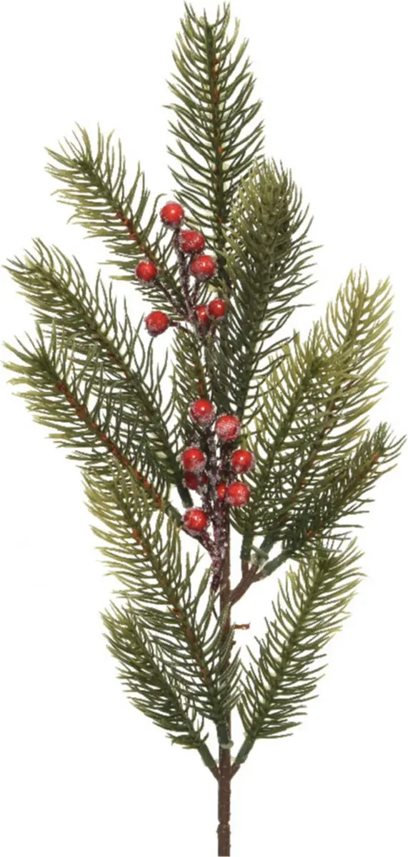 Decoris kersttak/dennentak