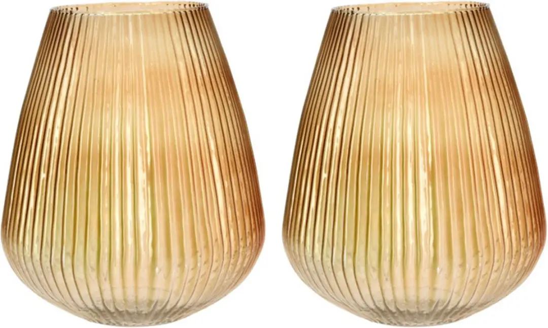 Excellent Houseware glazen vaas / bloemen vazen