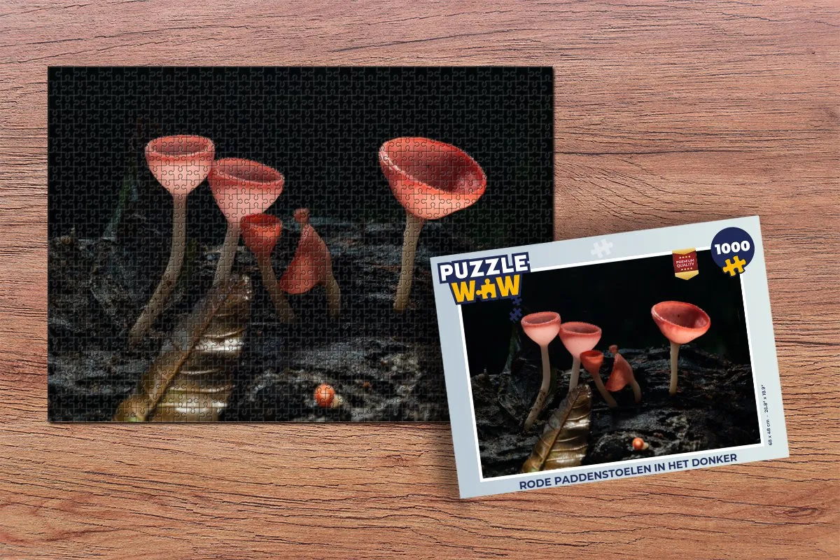 PuzzleWow Rode Paddenstoelen in het Donker Legpuzzel 1000 Stuks - Multicolor
