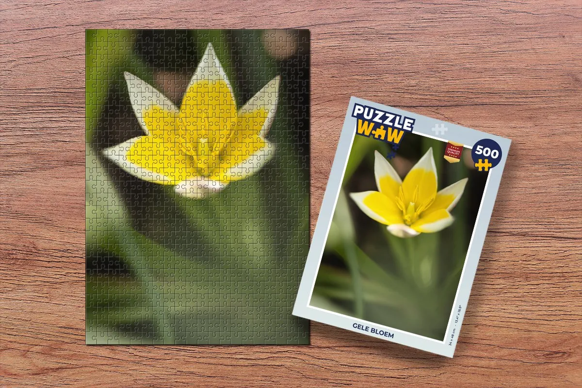 PuzzleWow Bloem Legpuzzel 500 Stuks - Multicolor