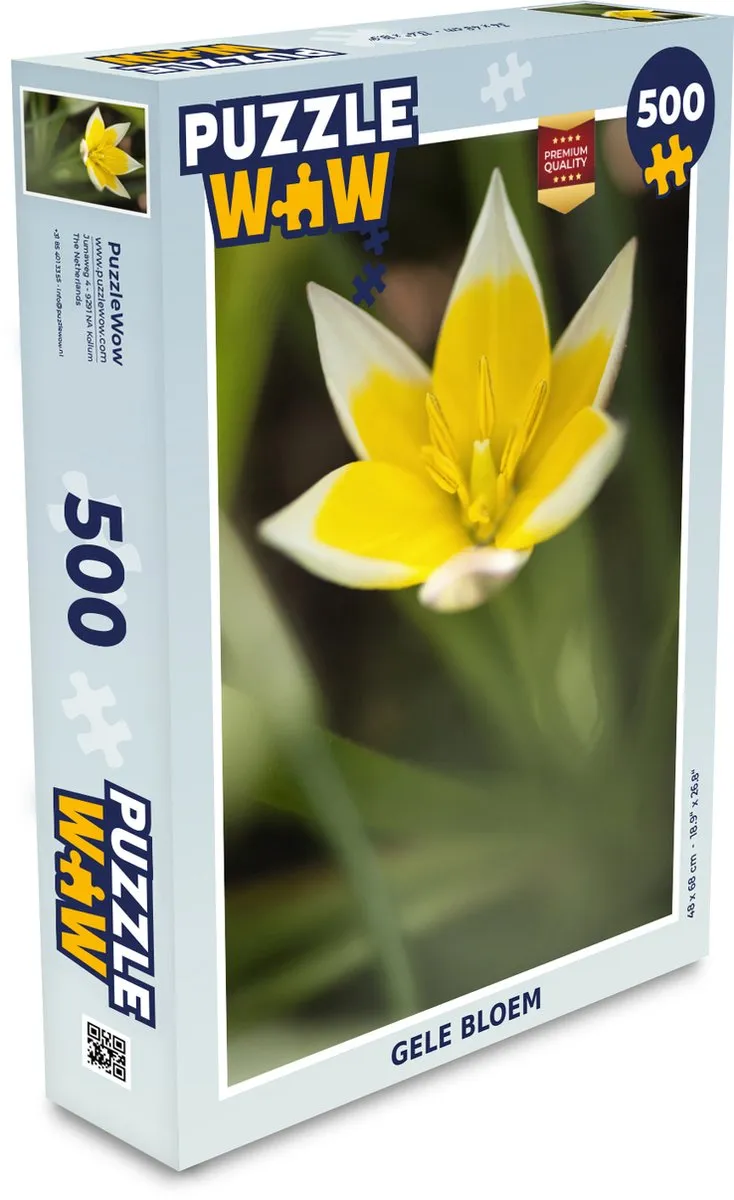 PuzzleWow Bloem Legpuzzel 500 Stuks - Multicolor