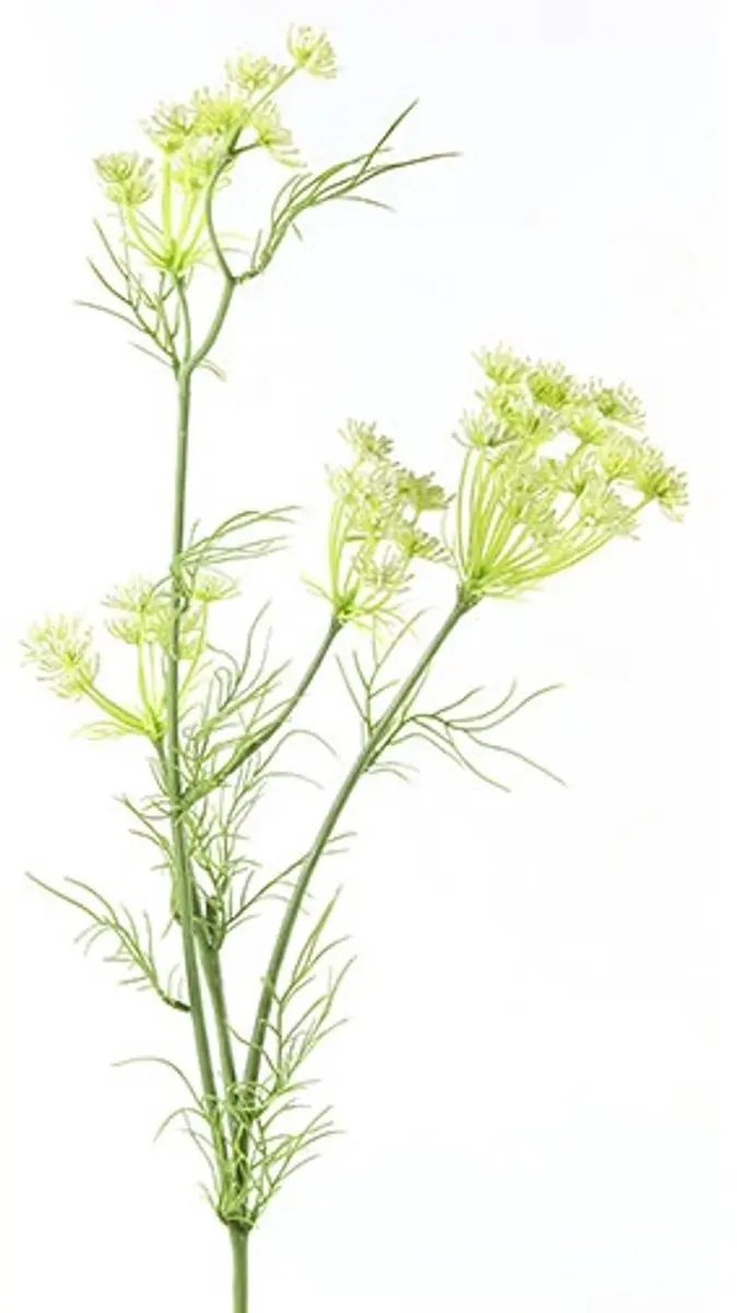 Countryfield Kunstbloem Daucus carota wit
