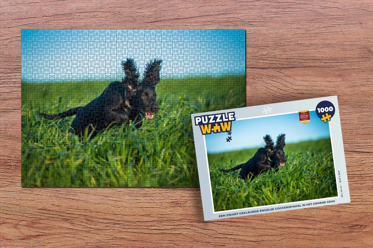 PuzzleWow Engelse Cocker Spaniel Legpuzzel 1000 Stuks - Multicolor