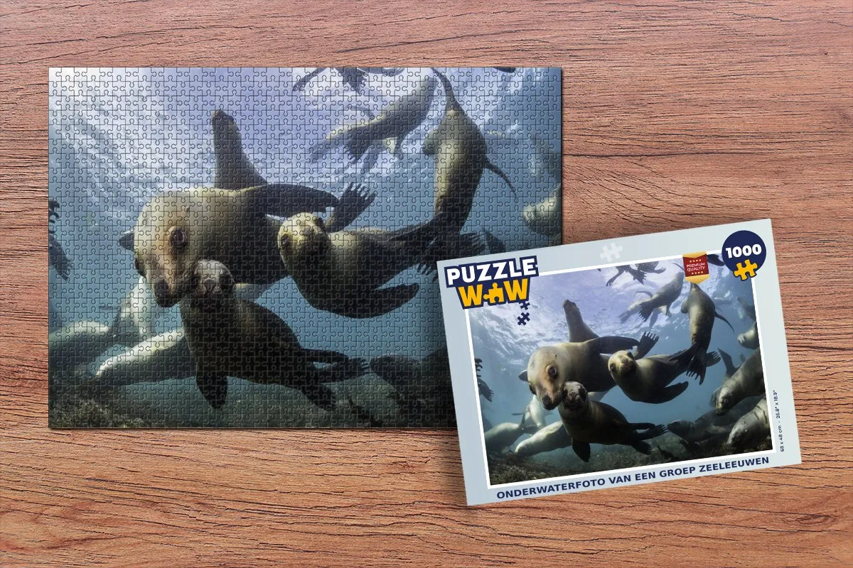 PuzzleWow Zeeleeuw Legpuzzel 1000 Stuks - Multicolor
