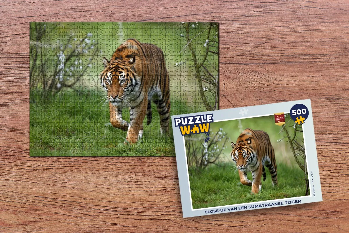 PuzzleWow Sumatraanse Tijger Legpuzzel 500 Stuks - Multicolor