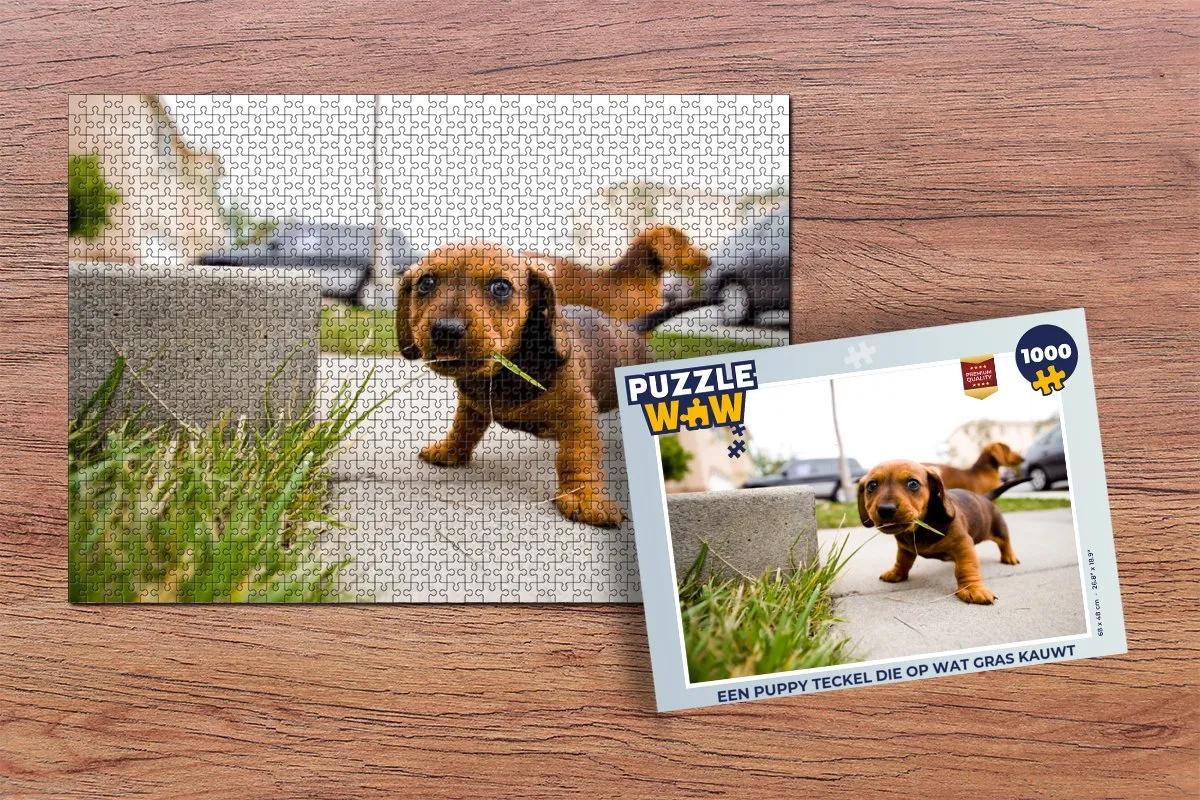 PuzzleWow Legpuzzel Een Puppy Teckel 1000 Stuks - Multicolor