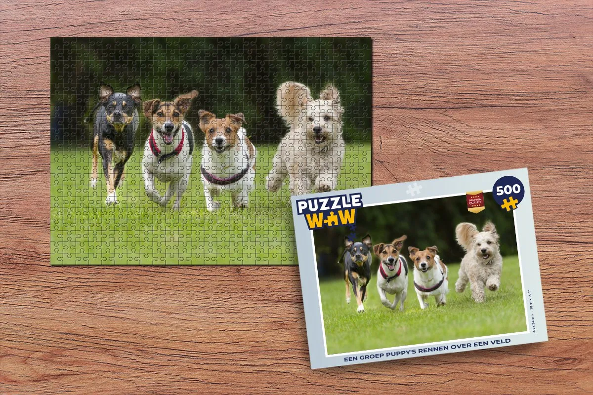 PuzzleWow Legpuzzel 500 Stuks Multicolor - 6017001463417