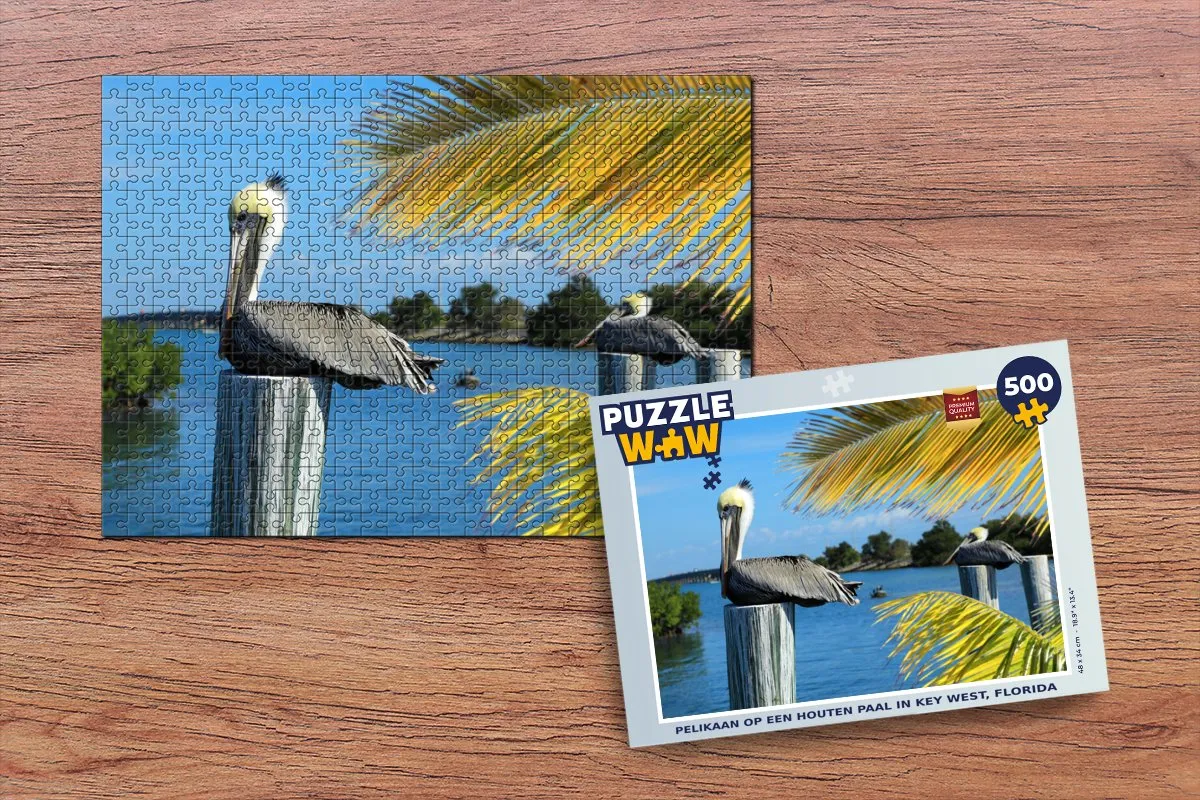 PuzzleWow Legpuzzel Pelikaan Key West 500 Stuks - Multicolor
