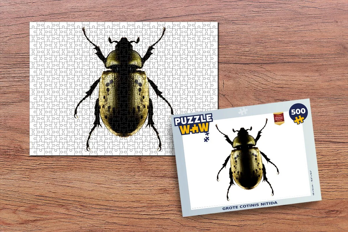 PuzzleWow Cotinis nitida Legpuzzel 500 Stuks - Multicolor