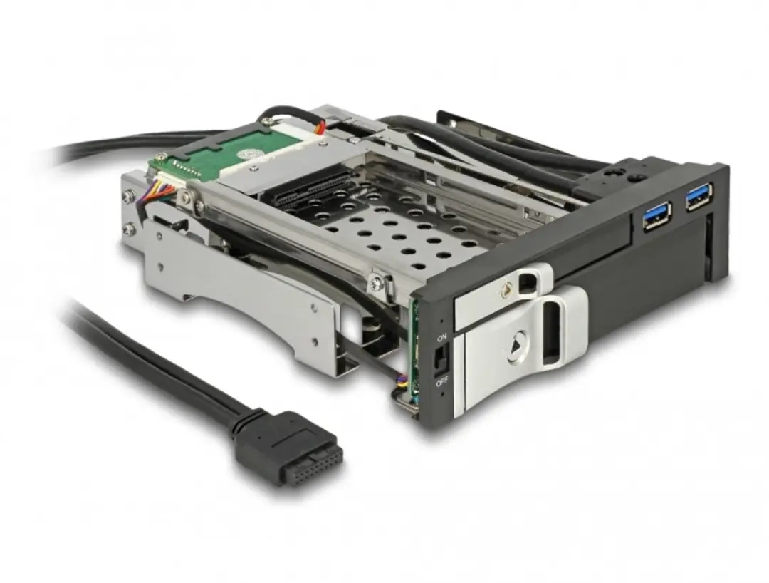 Delock 47209 5.25" Mobile Rack