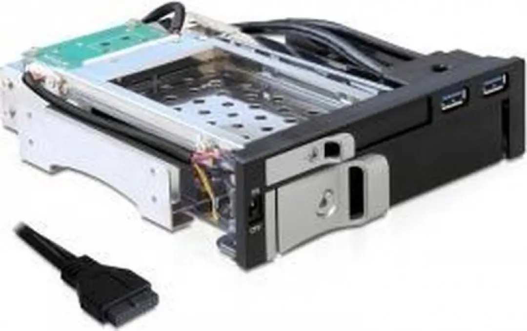 Delock 47209 5.25" Mobile Rack - 1x2.5" + 1x3.5" HDD - 2xUSB 3.0 - Zwart - afbeelding 4 van 6