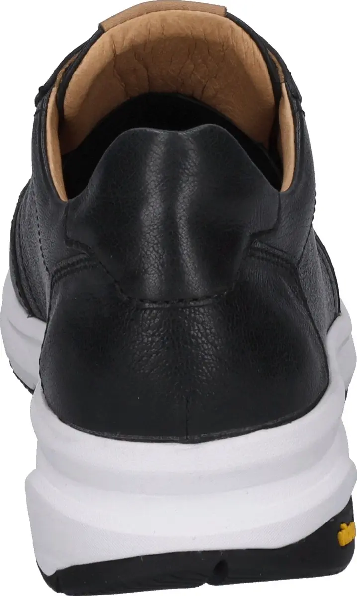 JOSEF SEIBEL Donald 01