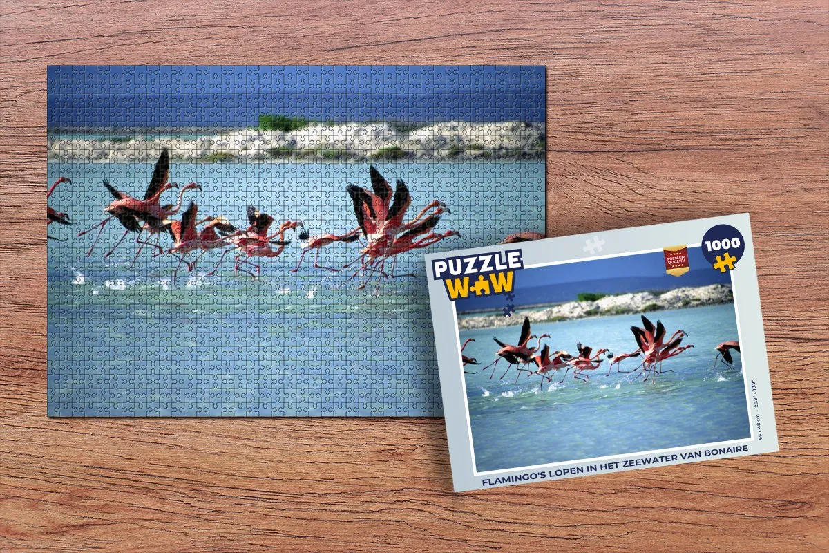 PuzzleWow Flamingo's Bonaire Legpuzzel 1000 Stuks