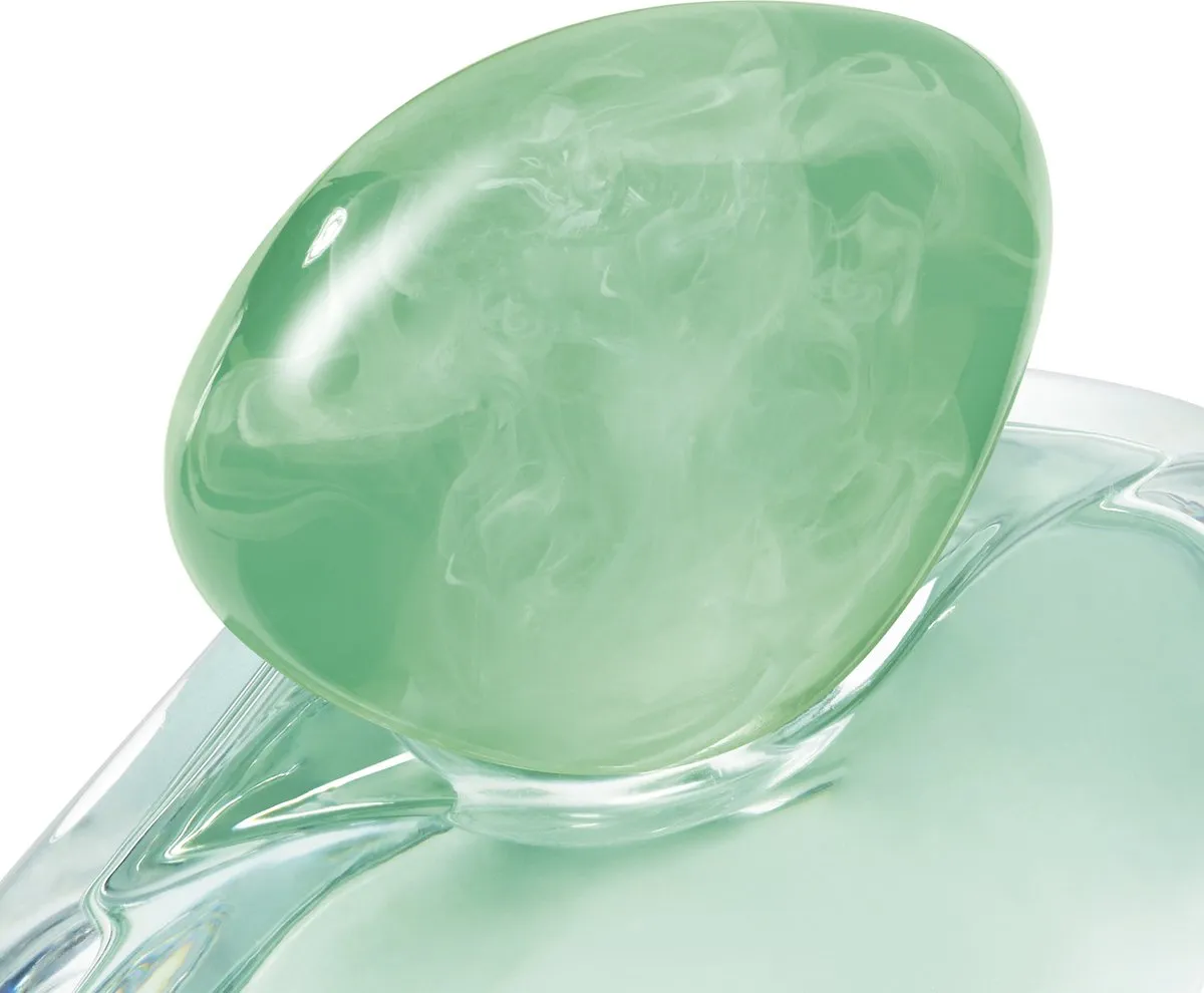 Armani Acqua di Gioia Eau de Parfum 100ml - afbeelding 6 van 6