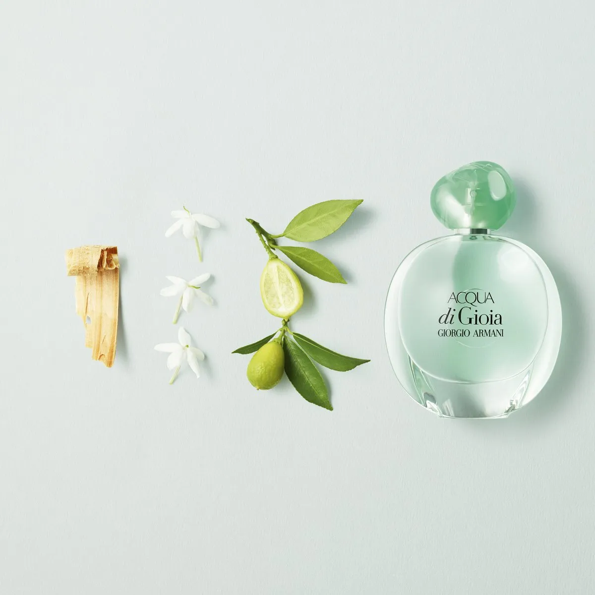 Armani Acqua di Gioia Eau de Parfum 100ml