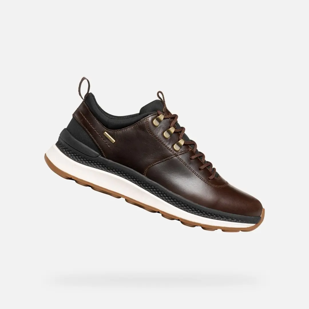 GEOX Sneakers -