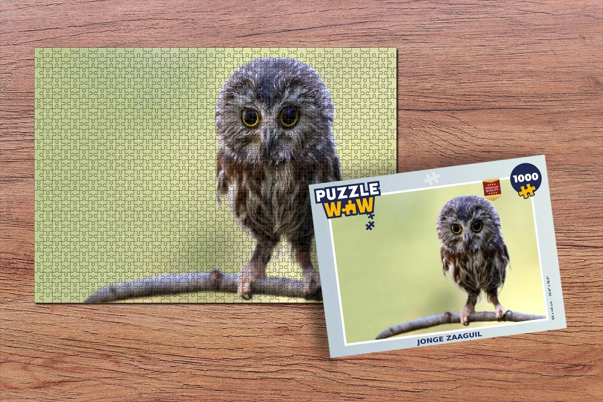 PuzzleWow Uil - Legpuzzel 1000 Stuks - Multicolor