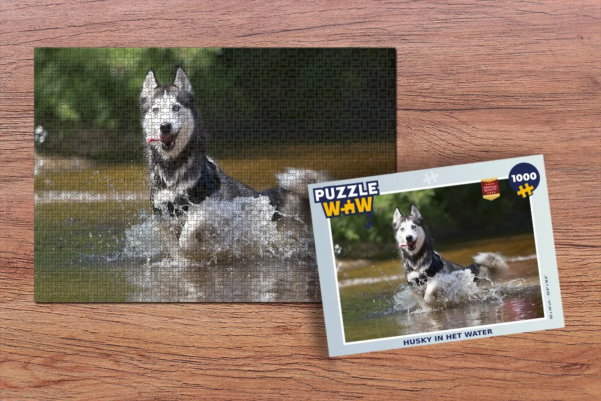 PuzzleWow Husky in het water Legpuzzel 1000 Stuks - Multicolor