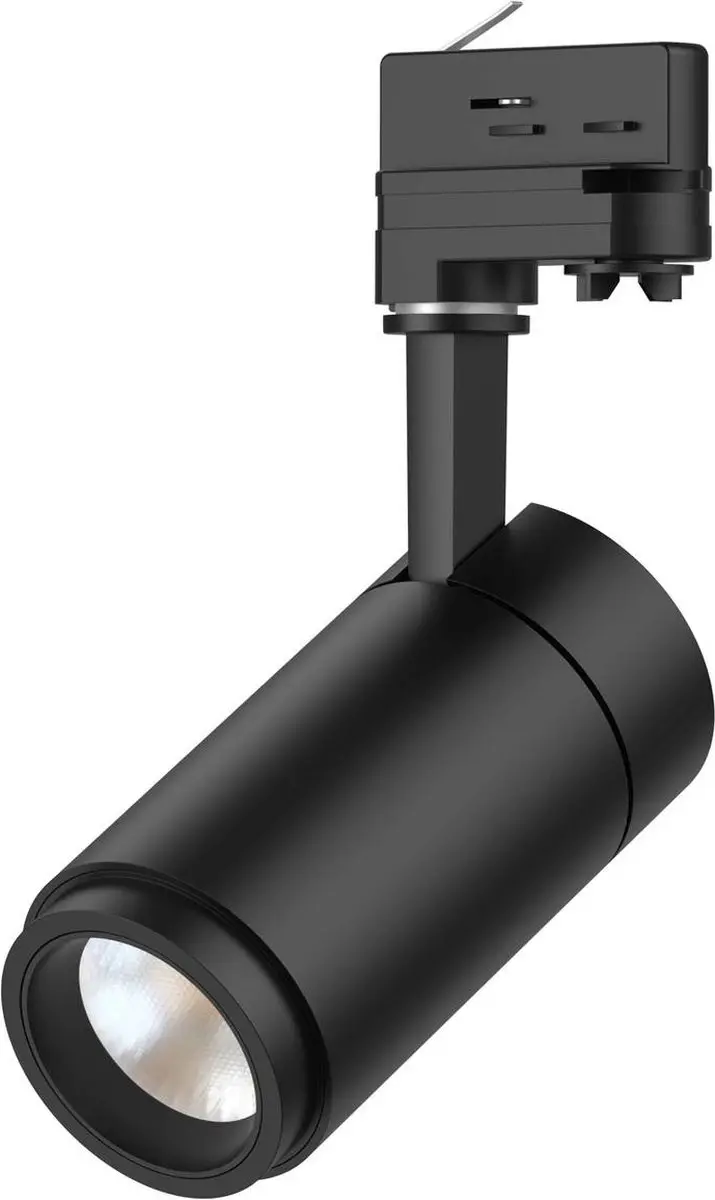 Arcchio Nanna LED Rail Spot 21W