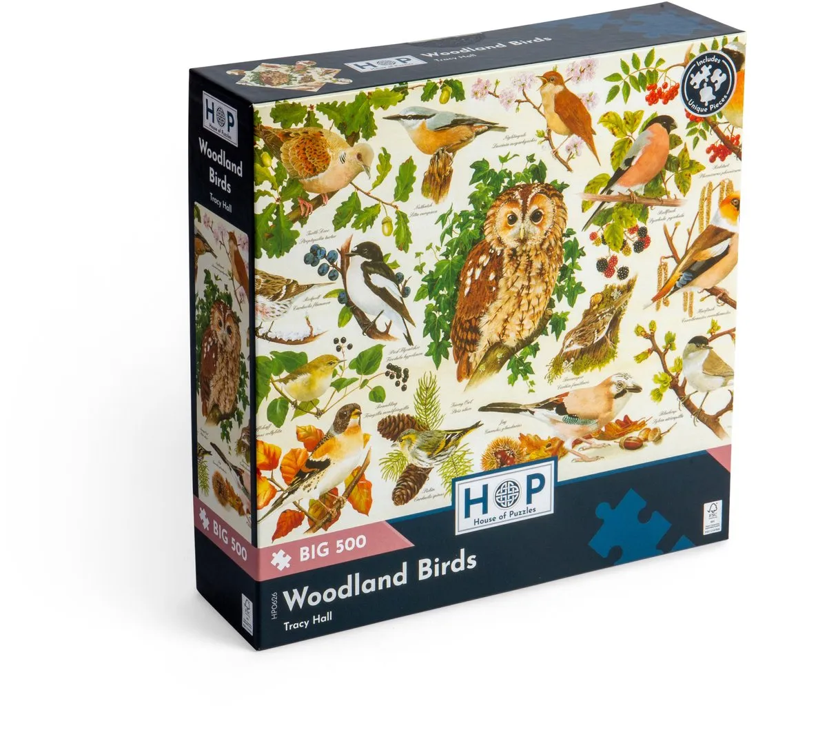 House Of Puzzles Woodland Birds Legpuzzel 500 Stuks Multicolor