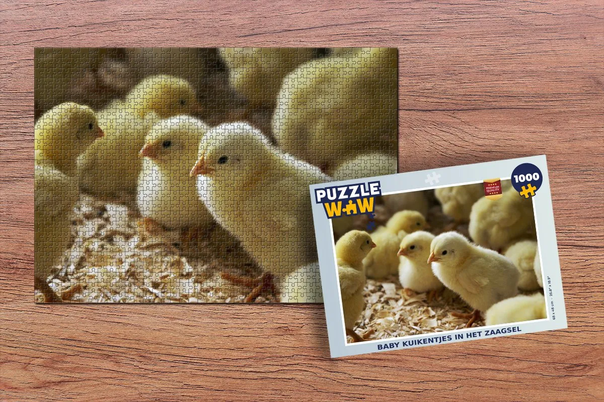 PuzzleWow Legpuzzel Baby kuikentjes 1000 Stuks - Multicolor