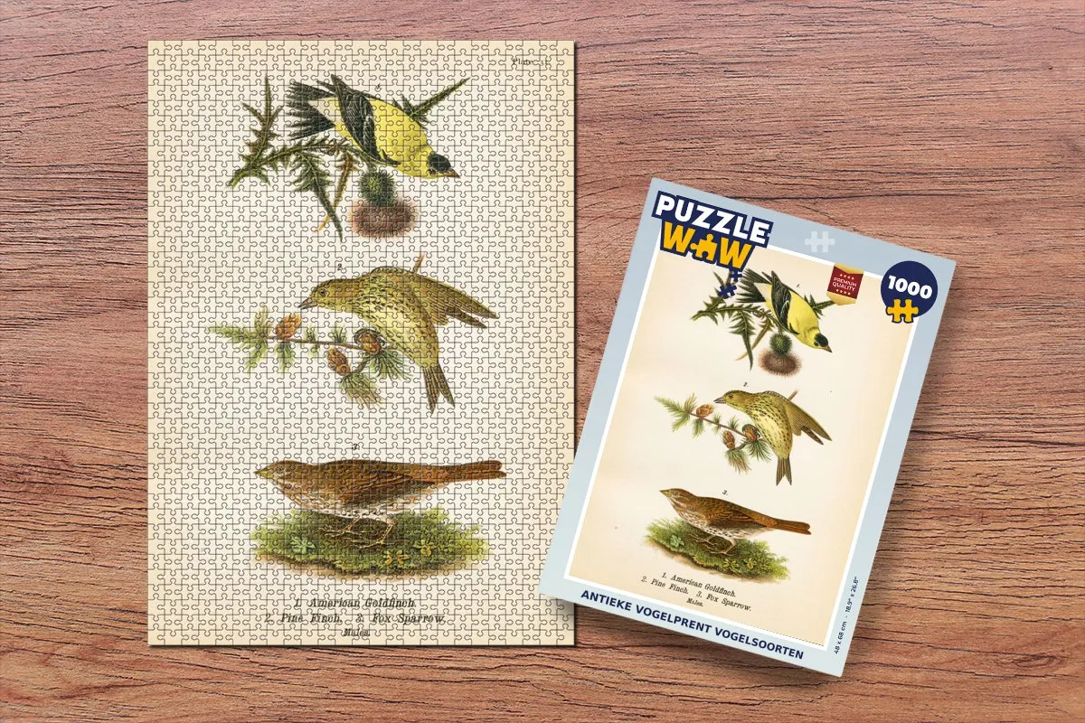 PuzzleWow Antieke Vogelprent Legpuzzel 1000 Stuks - Multicolor