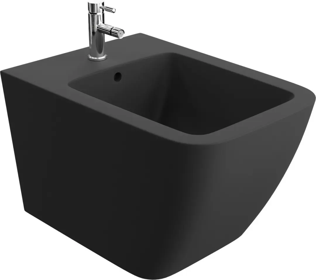 Domino LAVITA Universal wandbidet Onil zwart met kraangat en Überlaufschutz van
