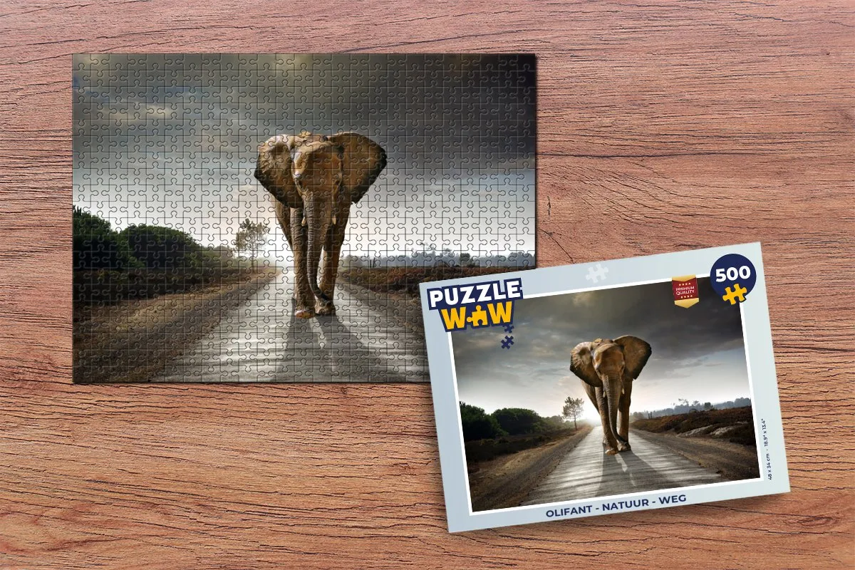 PuzzleWow Natuur Weg Legpuzzel 500 Stuks - Multicolor